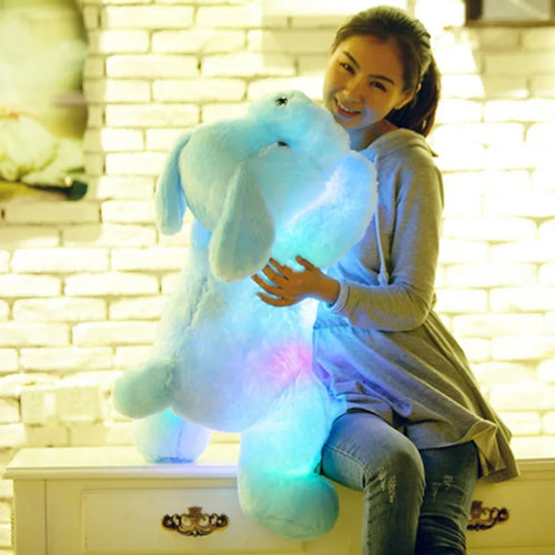 Peluche veilleuse LED — Chien lumineux